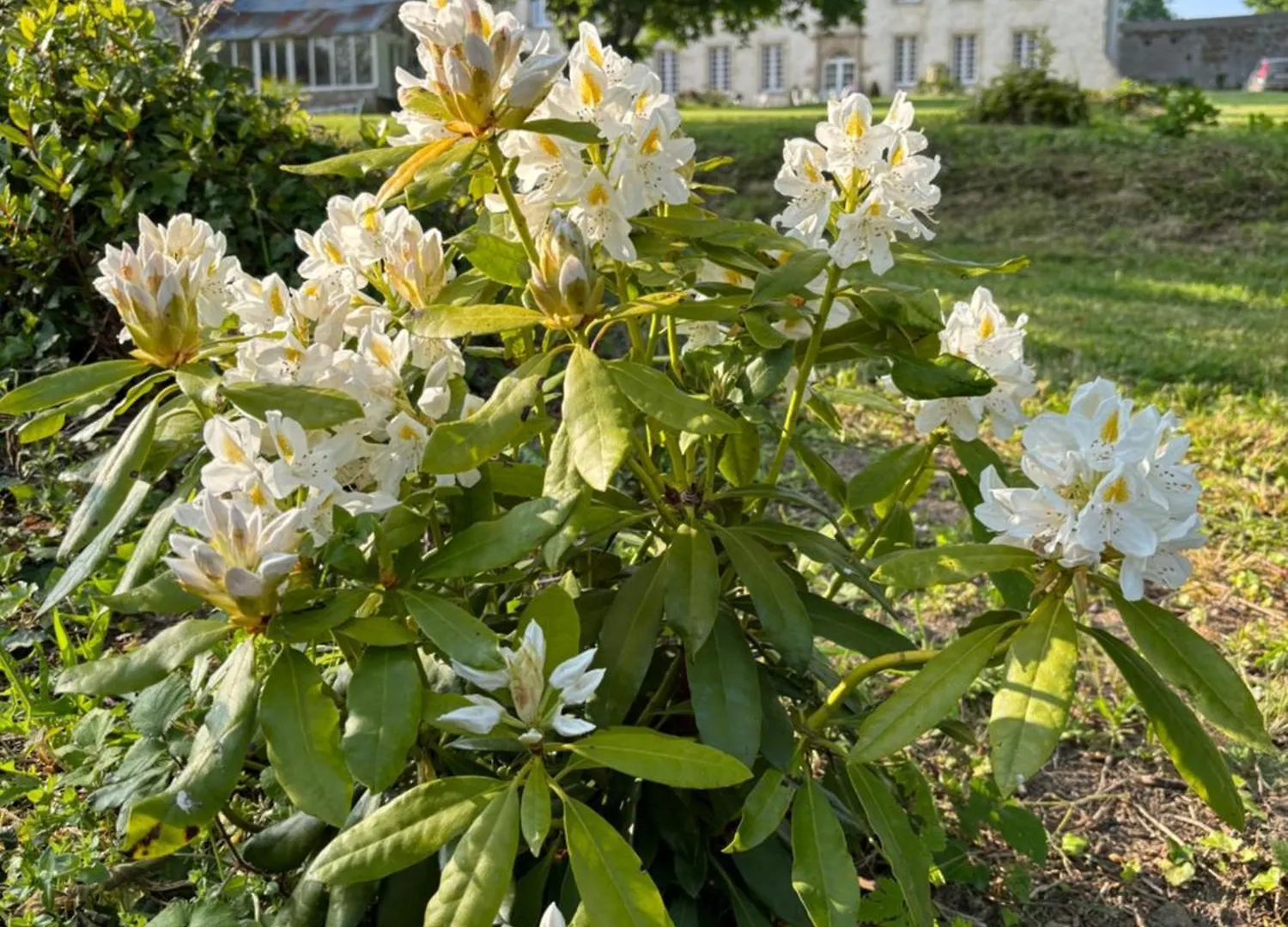 Gites Du Manoir De Kergoniou Saint Joseph Paimpol Maison d'hôtes